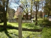 Coy Pond, Poole