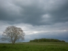 Badbury Rings in distance