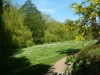 Coy Pond, Poole