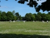 Cricket at Poole Park, poole, dorset