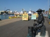 Boat trips poole quay, dorset