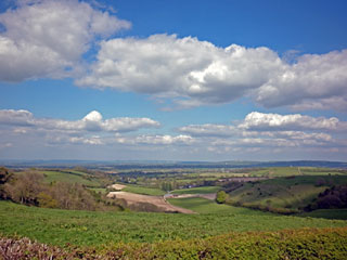 Dorset Rolling Countryside - Blackmore Vale