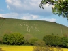 The Cerne Giant