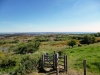 purbeck countryside