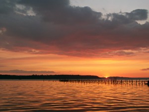 Sunset over Poole Harbout